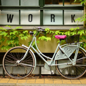Bicycle Name Here