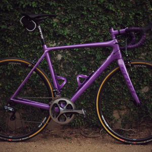 Bicycle Name Here